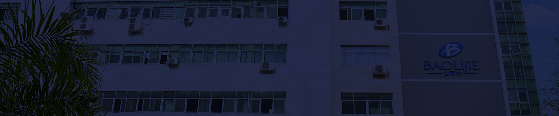 Shenzhen Baolijie Technology Co., Ltd. Unternehmensprofil