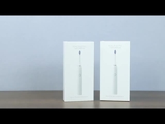 SN302 Sonische elektrische Zahnbürste für Erwachsene