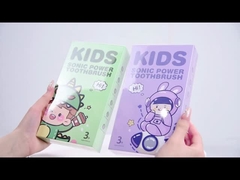 BS51 Elektrische Zahnbürste