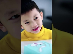 SN201 Schall elektrische Zahnbürste